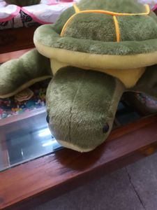 Cute Big size Turtle Plush Toy