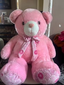 Teddy
