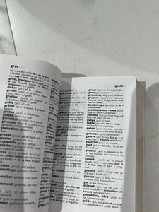 Larousse Mini Dictionary French English