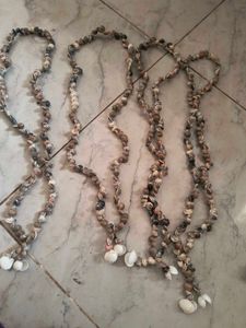 Seashell Necklace