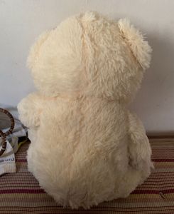 Cute Cream Teddy Bear
