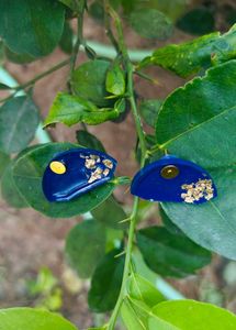 Black And Blue Set Of 2 Resin Earrings New