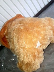 Cute Teddy Bear with Hat
