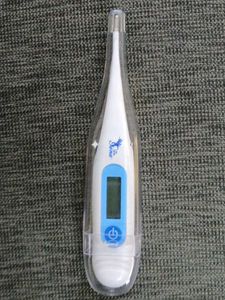 2 Digital Thermometers