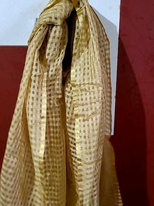 Elegant Gold Ethnic Dupatta