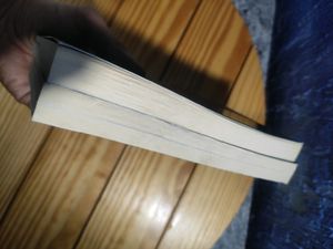 Stephenie Meyer 2 Books Set