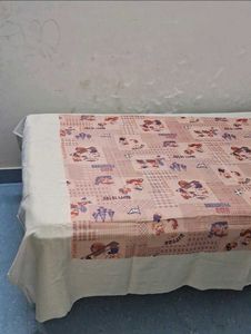 Single Bed Sheet with Pillow Cover of 2