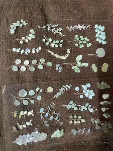 Floral Stickers - Natural Series