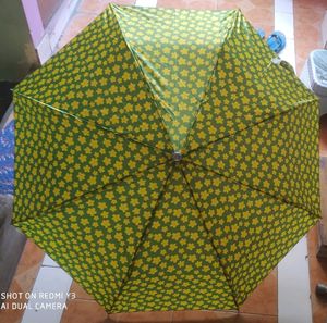 3 Umbrellas
