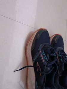 Asian Sport Shoes