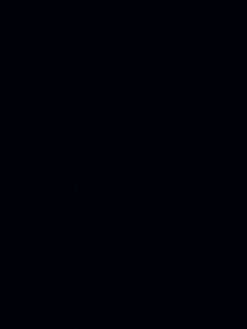 Test S1