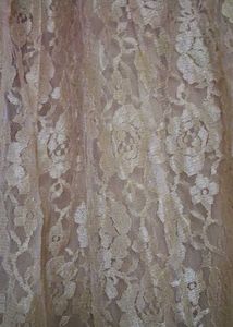 Golden Lace Ethnic Skirt