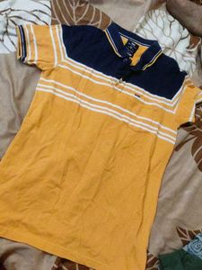 Men's Striped Polo T-Shirt