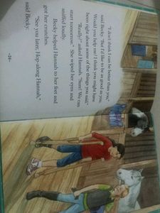 Breyer Stablemates Stormy Book