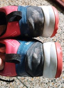 Bacca Bucci Shoes.