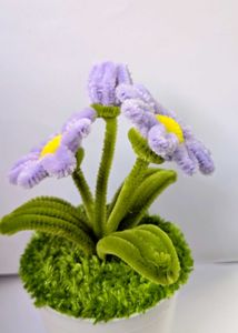 Cute Handcrafted Daisy Plant