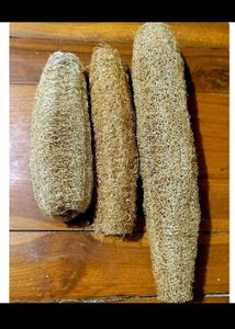 Natural Loofah