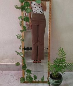 Flared Brown Trousers
