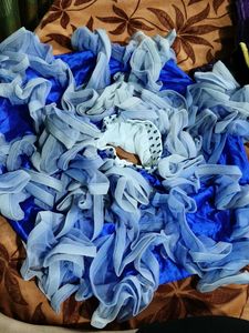 Beautiful Blue Ethnic skirt