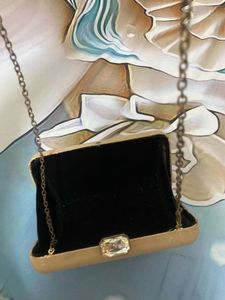 Elegant Beige Clutch Bag