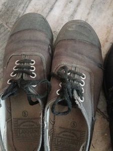 Women's Casual Shoes Bundle