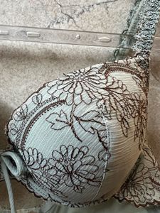 Floral Embroidered Underwire Padded Bra