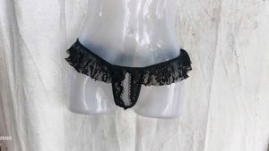 Sheer Lace Trimmed Panty