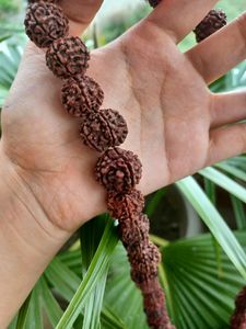 Rudraksha Mala