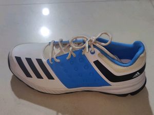 Adidas Men's Casual Shoes. Unused. No Offered Coin
