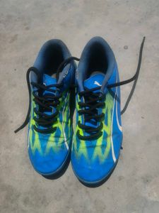 Puma Blue Green Soccer Cleats