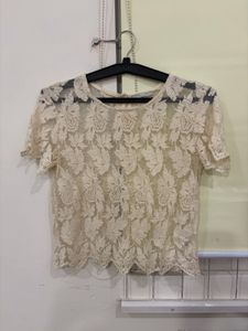 Elegant Lace Crop Top