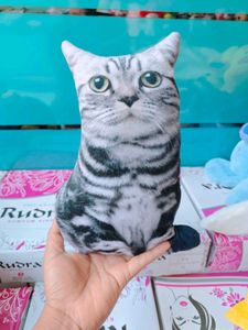 Cute Cat Plush Toy