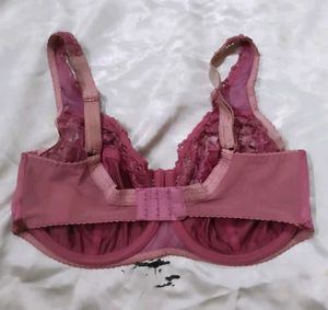 New Lace and Satin Bra