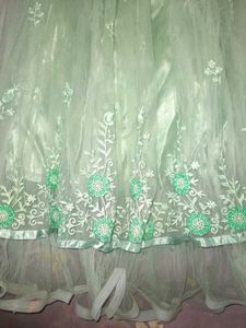 Elegant Mint Green Lehenga Choli