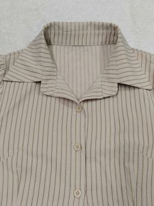 Striped Button-Up Cropped shirt