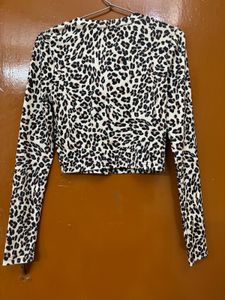 Urbanic Leopard New Crop Top