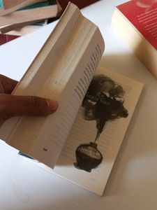 The Name Of This Book Is Secret