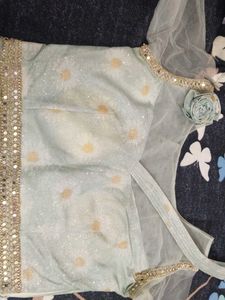 Sparkling Floral Print Lehenga choli