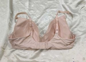 Lace  Padded Bra