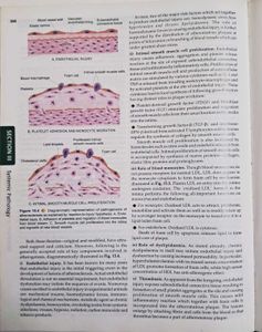 Textbook of Pathology, Harsh Mohan