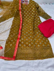 Designer organza pakistani suit