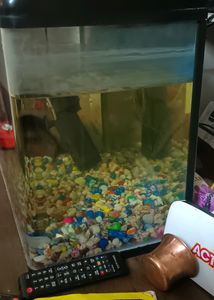 Fish Tank For Ur Beautiful House