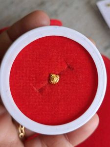 Elegant Gold nosepin