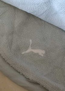puma roaring wild cropped sports hoodie