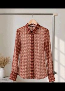 ZARA Sheer Checkered Long Sleeve Blouse