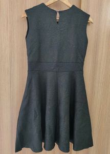 👗 Distressed Coated A-Line Skater Dress