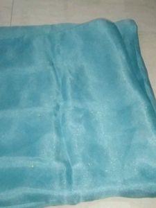Organza Complete Suit