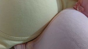 Set of 2 Padded T-Shirt Bras – Nude &amp; Pink