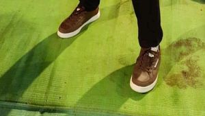 One Time Use Shoes