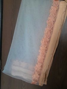 Embroidered Net Dupatta